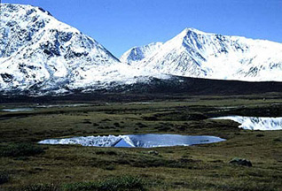 Льды Арктики вероятно достигнут минимальных размеров за всю историю наблюдений. Фото с сайта novostey.com