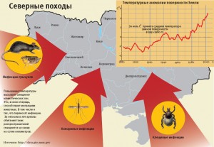 Кликните по изображению для увеличения